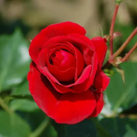Ferienbauernhof Liesenberg Meerblickhaus Strandlaeufer Feriehus Femern