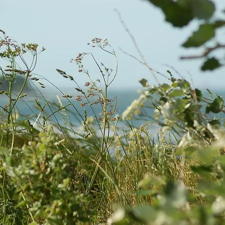 Ferienbauernhof Liesenberg Meerblickhaus Strandlaeufer Fehmarn