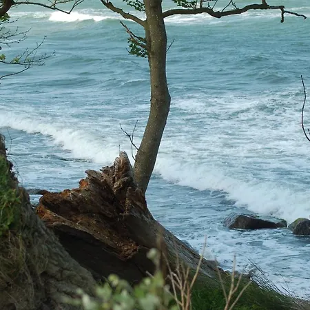 Ferienbauernhof Liesenberg Meerblickhaus Strandlaeufer Feriehus *