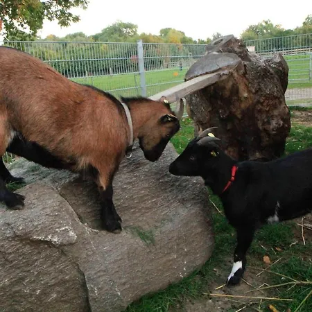 Ferienbauernhof Liesenberg Meerblickhaus Strandlaeufer 费马恩